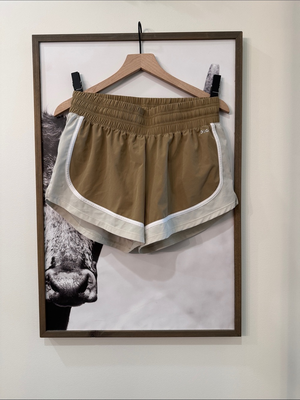 DSG Lined Athletic Shorts